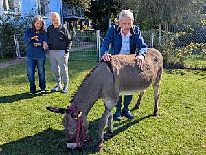 Esel frisst aus der Hand